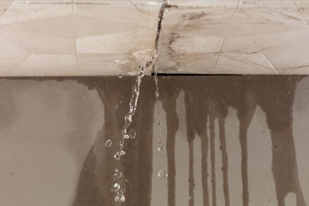 Professional Structural Drying technician working in Dennison, OH